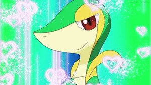  Snivy Used Attract