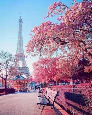  Spring in Paris