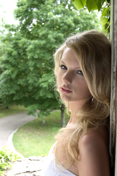 Taylor (2006)