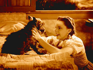  The Wizard of Oz - Dorothy and Toto