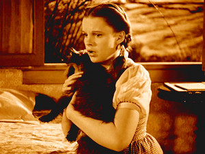 The Wizard of Oz - Dorothy and Toto