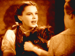 The Wizard of Oz - Dorothy and Toto