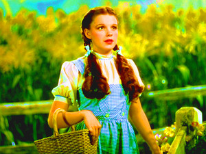  The Wizard of Oz - Dorothy