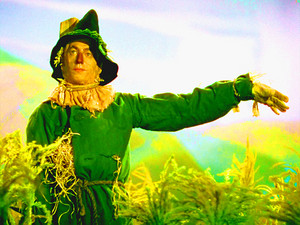  The Wizard of Oz - Scarecrow