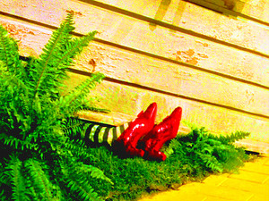  The Wizard of Oz - The Ruby Slippers