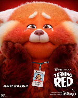  Turning Red (2022) Poster