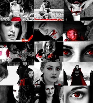 Twilight Saga Red BEFORE