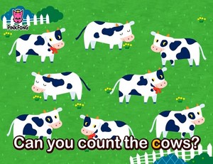  can 你 count the cows