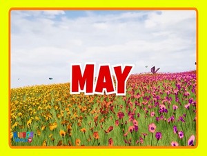  may