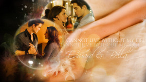  Bella/Edward দেওয়ালপত্র - Cannot Live Without