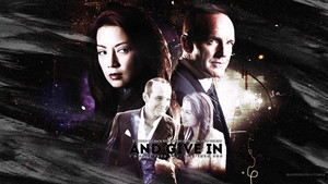  Coulson/May 壁紙 - Give In