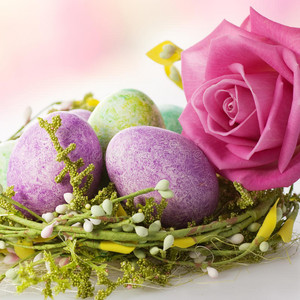Easter Vibes For Kyara Sunshine 🌸🐣🐇