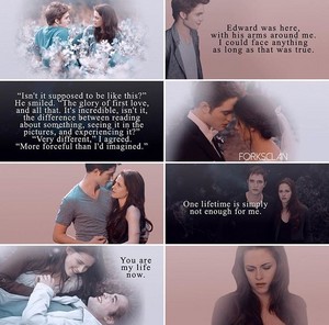  Edward and Bella 语录