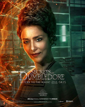 Fantastic Beasts: The Secrets of Dumbledore Poster - Vicência Santos