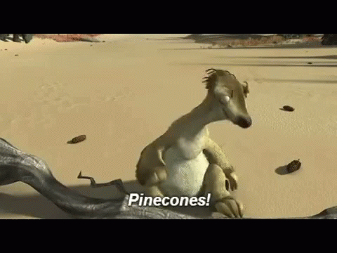 Pinecones!