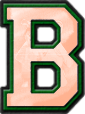  Presentatïon Alphabet Set: Whïte & Green Varsïty Letter B