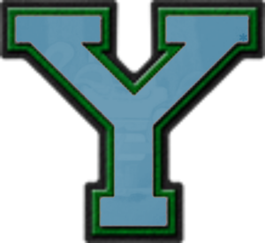  Presentatïon Alphabet Set: Whïte & Green Varsïty Letter Y