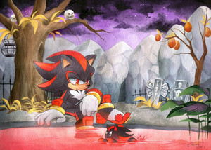  Shadow and chao