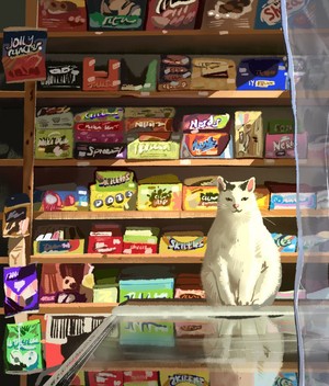  kitty shopkeeper