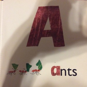  A Is For Ants