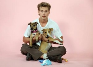  Austin Butler | cachorro, filhote de cachorro Interview | June 2022