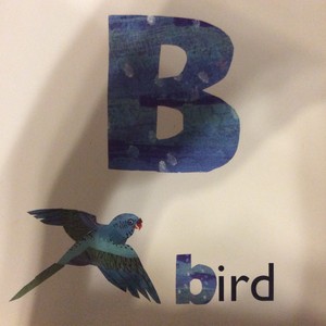 B Is For Bird