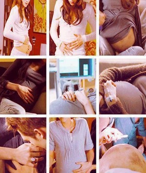  Bella swan pregnant with Renesmee