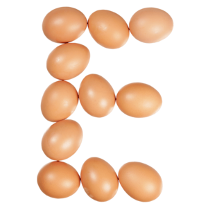  Brown Eggs Font. It All Started With Eggs Alphabet