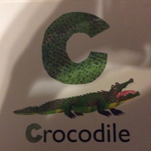 C Is For Crocodile 