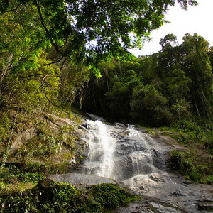  Tijuca National Park