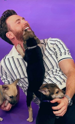 Chris Evans | puppy interview | June 2022