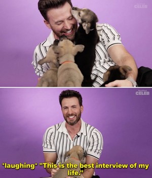Chris Evans | puppy interview | June 2022