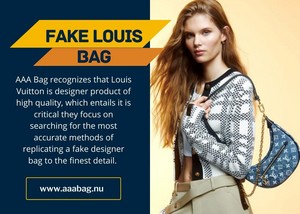 Fake Louis Bag