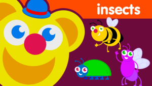  Freddy Finds Bugs Best Insect video for Preschoolers