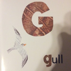  G Is For Gull