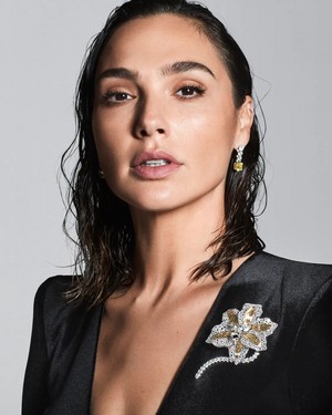  Gal Gadot for Tiffany & Co. (2022 Botanica Collection)