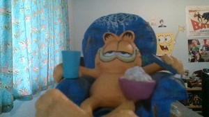  garfield Hopes tu Have A Relaxing Summer