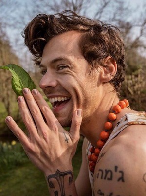  Harry x Better Homes and Gardens