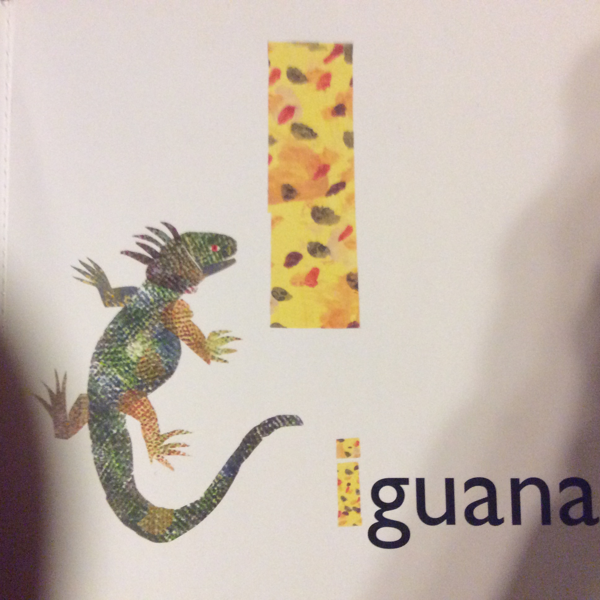 I Is For Iguana