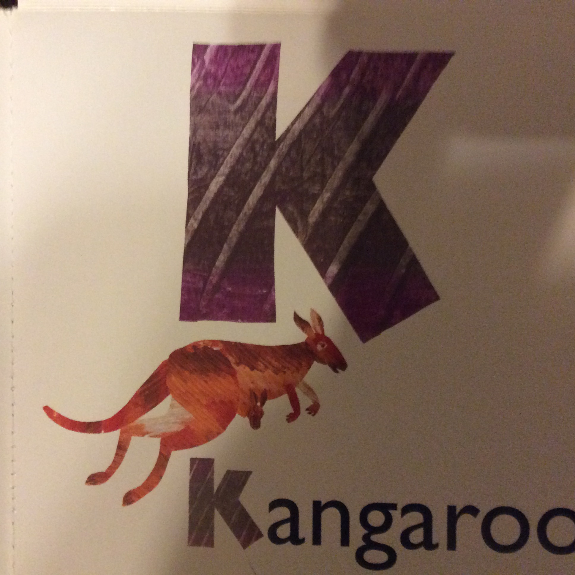 K Is For Kangaroo