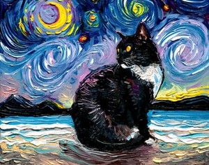 Kitty Starry Night