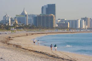  Miami समुद्र तट