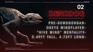  Monsters of the Upside Down: Demodog