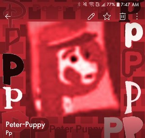  Peter anak anjing, anjing