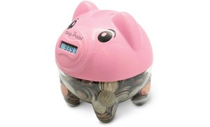  Piggy Bank