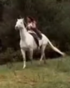  Princess Philony riding Pegasus
