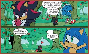  Shadow and Sonic IDW