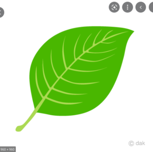  Simple Leaf Clip Art Free PNG Image