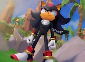  Sonic prime shadow