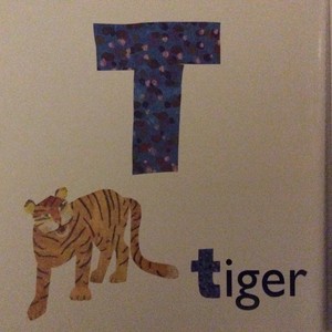  T Is For Tiger